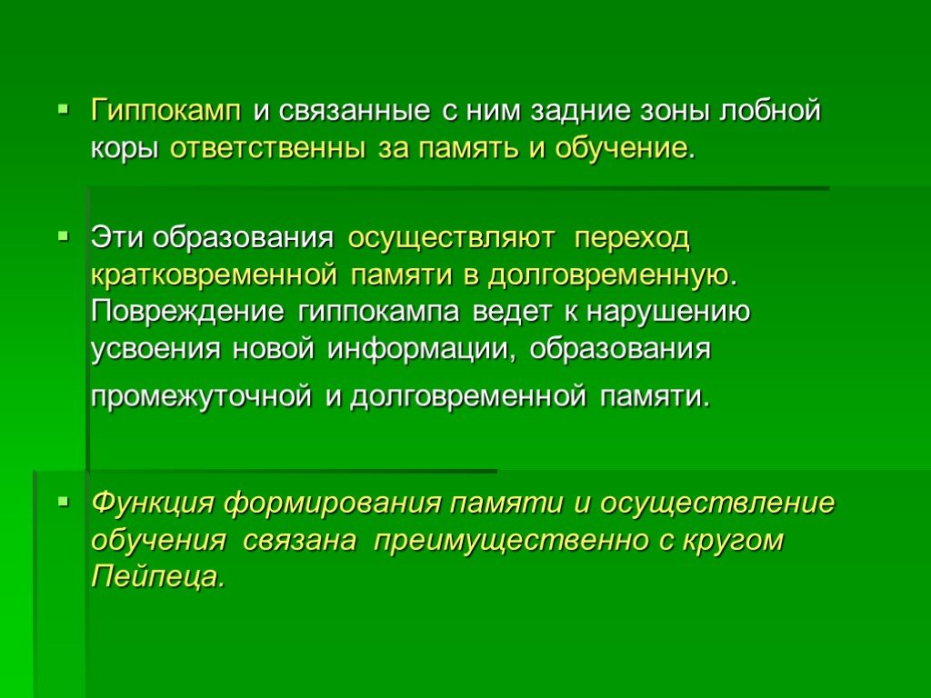 Роль памяти. Роль гиппокампа в механизмах формирования долговременной памяти. Функции гиппокампа. Переход кратковременной памяти в долговременную. Гиппокамп функции.