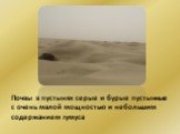Почвы в пустынях серые и бурые пустынные с очень малой мощностью и небольшим содержанием гумуса