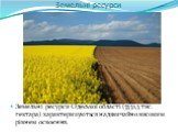 Земельні ресурси. Земельні ресурси Одеської області (3331,3 тис. гектара) характеризуються надзвичайно високим рівнем освоєння.