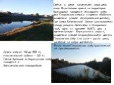 Длина озер от 150 до 800 м, максимальная глубина – 3,5 м. Самое большое из Карасунских озер находится в Комсомольском микрорайоне. Сейчас о реке напоминает лишь цепь озер. В настоящее время на территории Краснодара находится пятнадцать озёр: два Покровских озера(у стадиона «Кубань», разделены улицей