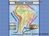 Гвианское Бразильское Перуанское Фолклендское. Течение Западных ветров. Северное пассатное течение. Влияние течений