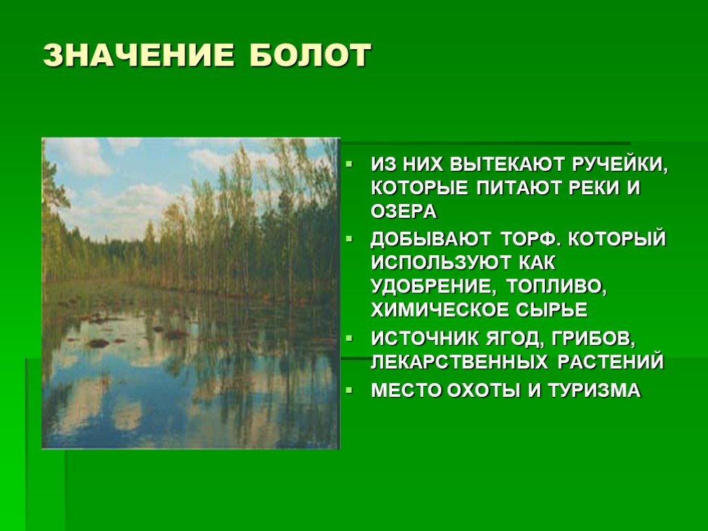 Составляющая болотной. Значение болот. Охрана болота для человека. Презентация на тему болото. Сообщение на тему болото.