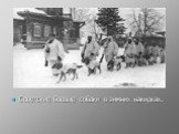 Советские боевые собаки в зимних накидках.