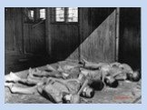 Освенцим: фабрика смерти Слайд: 15