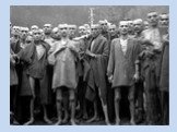 Освенцим: фабрика смерти Слайд: 24