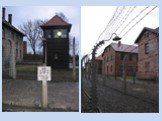Освенцим: фабрика смерти Слайд: 27
