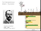 Christen C. Raunkiaer (1860 - 1938) Raunkiaer's plant life form. Система жизненных форм К. Раункиера