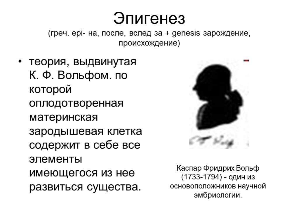 Эпигенез. Теория эпигенеза. Эпигенез Геология. Теория эпигенеза Вольфа. Ф.К.Вольф (теория эпигенеза).