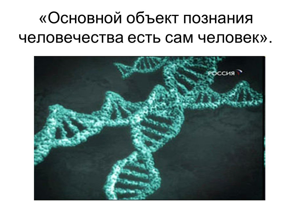 Генетика человека 10 класс биология презентация. Генетические проблемы королей фото.