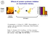 Effects of protein synthesis inhibition on reactivated memory. Chicks (Литвин, Анохин 1997). Nader, K., Schafe, G. E. & LeDoux, J. E. Fear memories require protein synthesis in the amygdala for reconsolidation after retrieval. Nature 406, 722–726 (2000). Przybyslawski, J., & Sara, S. J. (199
