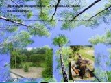 Державне підприємство „Сарненське лісове господарство” м. Сарни, вул. Гоголя, 34; Послуги: проживання,екскурсії екологічними стежками, полювання.