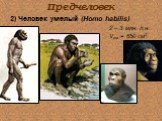 2) Человек умелый (Homo habilis). 2 – 3 млн. л.н. Vгм = 650 см3