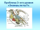 Проблема 3–его уровня «Знаешь ли ты?».