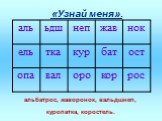 «Узнай меня». альбатрос, жаворонок, вальдшнеп, куропатка, коростель.