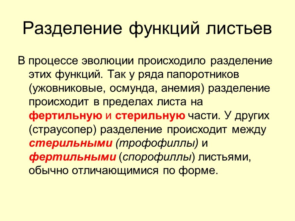 Расщепление функции. Стерильные и фертильные листья. Каковы главные линии эволюции. Макрофильной линии эволюции. Стерильная и фертильная части листа у ужовниковых.