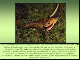 Обыкновенная подвязочная змея (Thamnophis sirtalis) поедает желтобрюхого тритона в штате Орегон. Подвязочные змеи способны вырабатывать в ходе эволюции устойчивость к тетродотоксину. Это позволяет им питаться ядовитыми тритонами, которые, в свою очередь, становятся более ядовитыми в тех районах, где