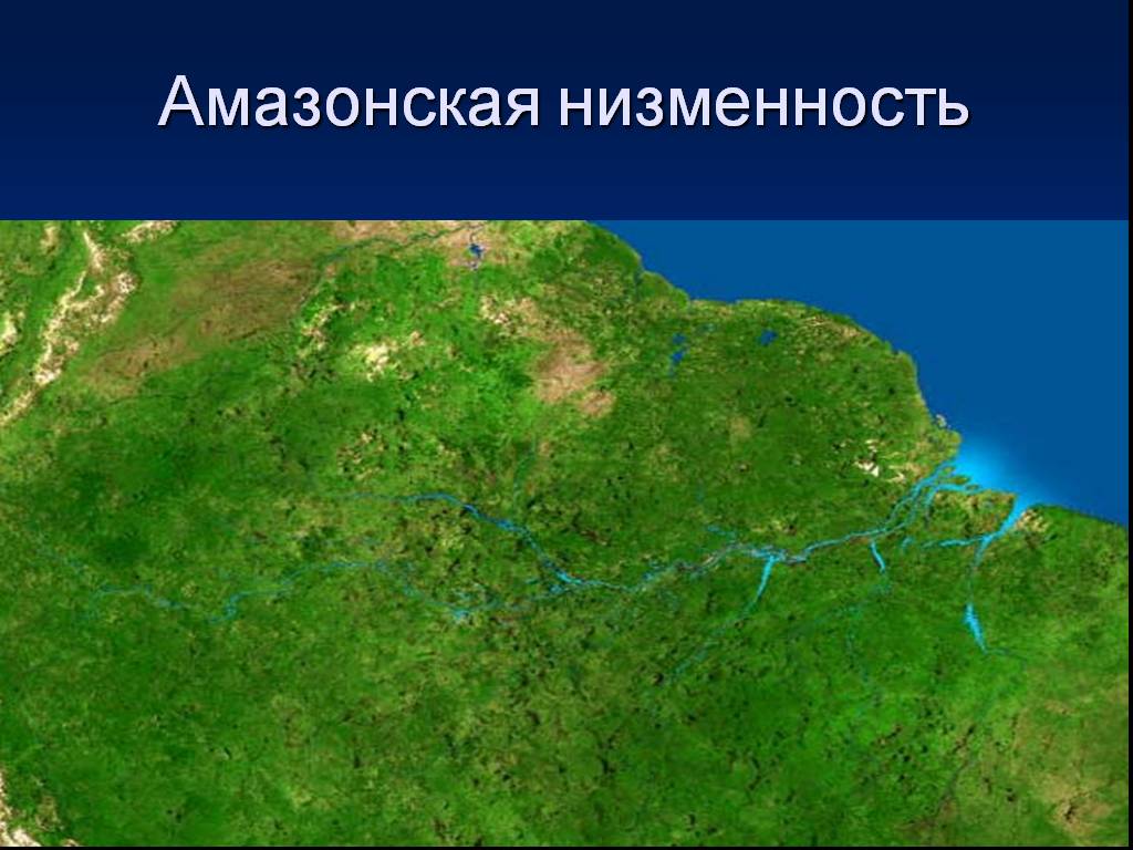 Амазонская низменность понижение рельефа в каком направлении. Равнина Амазонская низменность. Карта амазонской низменности с реками. Местоположение амазонской низменности. Амазонска я неизменность.