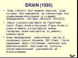 BRAIN (1986). Brain («Мозг») был первым вирусом, удар которого был направлен на компьютеры под управлением популярной в то время операционной системы Microsoft MS-DOS. Вирус создали два брата из Пакистана: Басит Фарук Алви и Ам-джад Фарук Алви, и даже оставили в коде вируса номер телефона своей маст