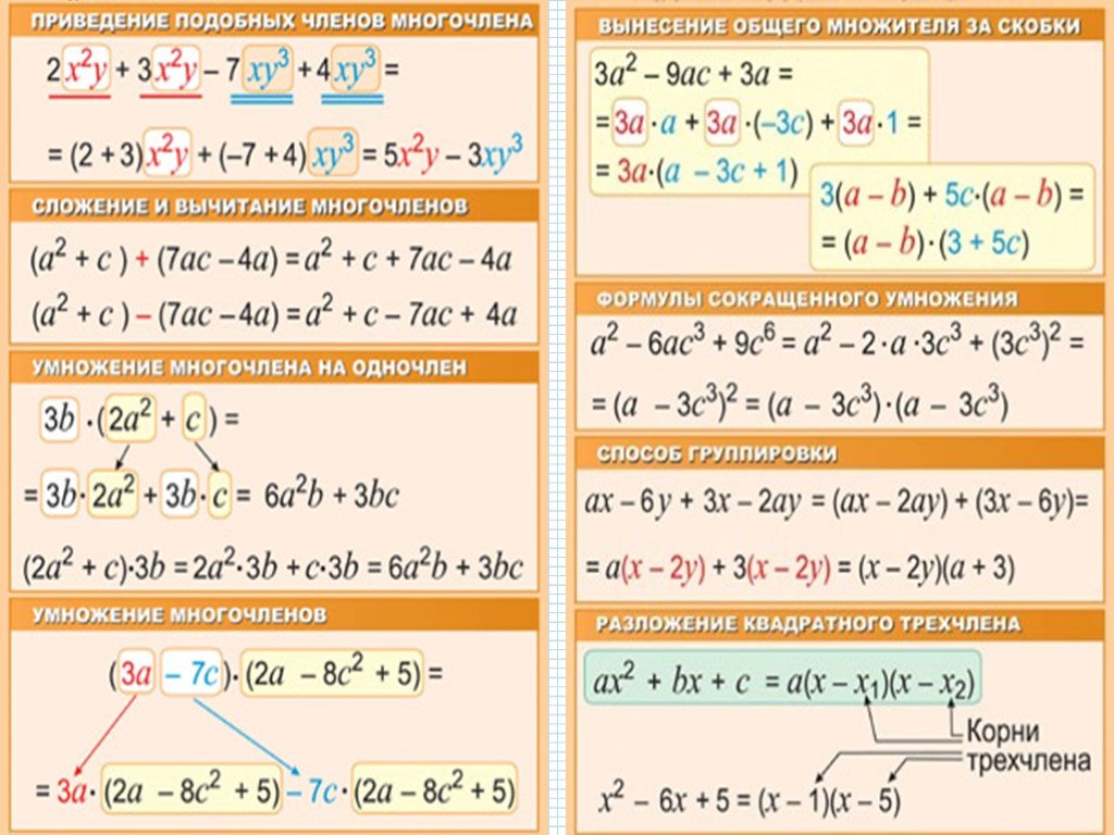 Пример многочленов алгебра. Действия с многочленами. Как решать многочлены. Правила многочленов. Многочлены 7 класс.