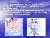 Уплощенный зонтик ушастой медузы достигает 30 – 40 см в диаметре и имеет розоватый или слегка фиолетовый цвет. По краям рта расположены четыре длинные ротовые лопасти, напоминающие по форме ослиные уши, от них медуза и получила свое название.