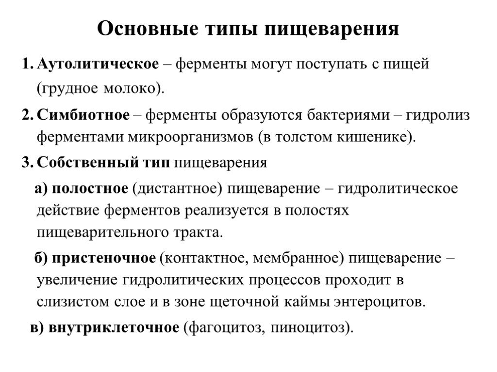 Типы пищеварения. Перечислите виды пищеварения. Типы пищеварения аутолитическое. Типы пищеварительных систем. Типы пищеварения таблица.