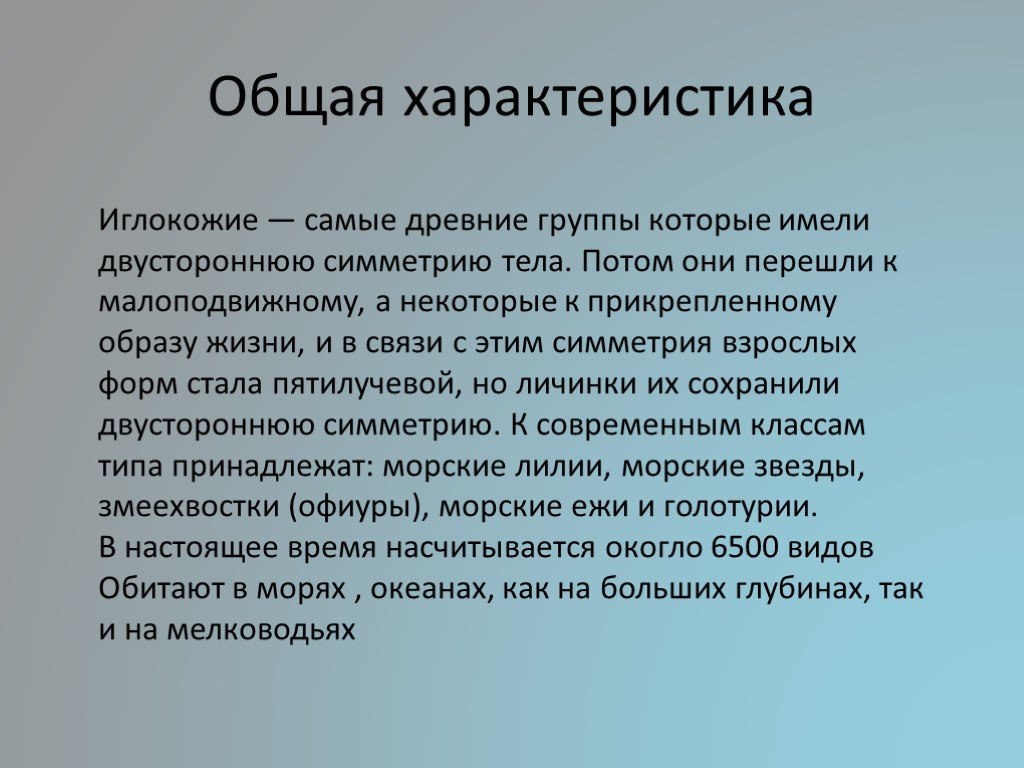 Общая характеристика класса. Иглокожие общая характеристика. Характеристика иглокожих. Тип иглокожие общая характеристика. Характеристика иглоко.