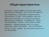 Общая характеристика. Иглокожие — самые древние группы которые имели двустороннюю симметрию тела. Потом они перешли к малоподвижному, а некоторые к прикрепленному образу жизни, и в связи с этим симметрия взрослых форм стала пятилучевой, но личинки их сохранили двустороннюю симметрию. К современным к