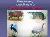 Животные , занесённые в Красную книгу Украины