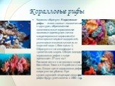 Коралловые рифы. Кораллы образуют Коралловые рифы — известковые геологические структуры, образованные колониальными коралловыми полипами (преимущественно мадрепоровыми кораллами) и некоторыми видами водорослей, умеющими извлекать известь из морской воды («биогермы»). Образуются на мелководье в тропи