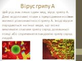 Вірус грипу A Цей рід має лише один вид, вірус грипу A. Дикі водоплавні птахи є природними носіями великої різноманітності грипу А. Іноді віруси передаються на інші види, що може викликати спалахи грипу серед домашньої птиці або спричинити пандемію грипу серед людей.