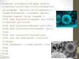 Є декілька різновидностей вірусу грипу А розділених на різні серотипи на основі антитіл до цих вірусів. Серотипи, які були виявлені в людей, впорядковані за кількістю відомих людських смертей під час пандемії, є: H1N1, який спричинив Іспанський грип в 1918 та Свинячий грип в 2009. H2N2, який спричин