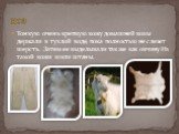 Тонкую очень крепкую кожу домашней козы держали в тухлой воде, пока полностью не слезет шерсть. Затем ее выделывали так же как овчину. Из такой кожи шили штаны. коз
