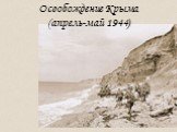 Освобождение Крыма (апрель-май 1944)