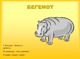 БЕГЕМОТ. У большого бегемота – дремота. Он огромную пасть разевает И зевает, зевает, зевает.