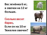 Вес ягнёнка 6 кг, а овечки на 12 кг больше. Сколько весит баран, Если он на 10 кг Тяжелее овечки?