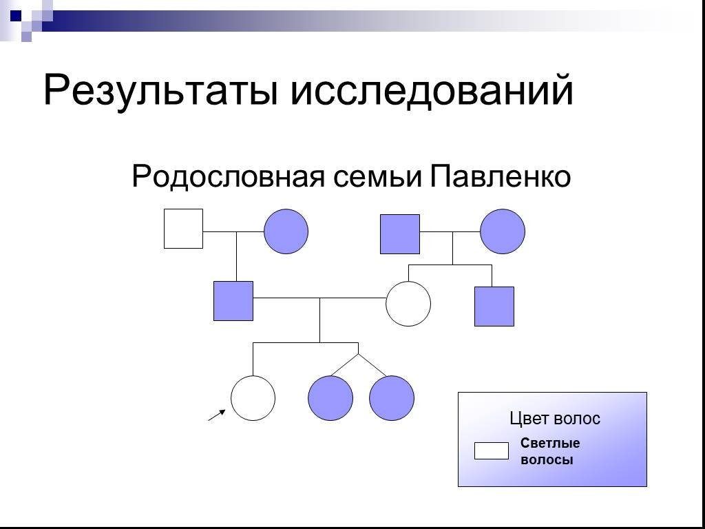 Родословная семьи по цвету глаз схема