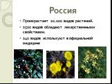 Россия. Произрастает 20.000 видов растений. 2500 видов обладают лекарственными свойствами. 240 видов используют в официальной медицине