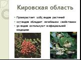 Кировская область. Произрастает 1085 видов растений 227 видов обладает лечебными свойствами 90 видов используют в официальной медицине