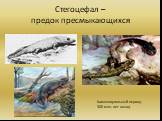 Стегоцефал – предок пресмыкающихся. Каменноугольный период 300 млн. лет назад