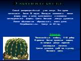 Эйриеза. Тёмно-зелёный стебель, 11-18 ребер. В ареолах белые пушистые шарики, из которых растут короткие шиловидные колючки. Цветки длинные, до25 см. в длину, белового цвета.