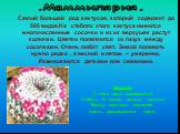 Самый большой род кактусов, который содержит до 500 видов.На стеблях этого кактуса имеются многочисленные сосочки и из их верхушек растут колючки. Цветки появляются из пазух между сосочками. Очень любят свет. Зимой поливать нужно редко , а весной и летом – умеренно. Размножаются детками или семенами