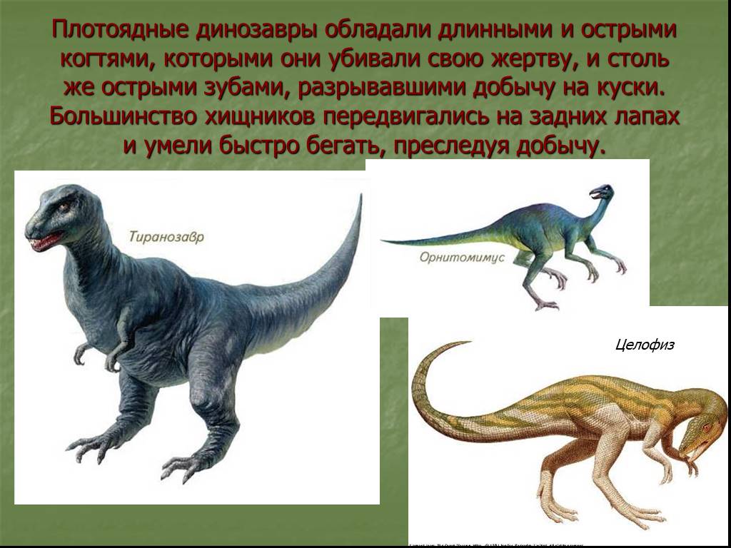 Древние пресмыкающиеся виды. Хищные и травоядные динозавры. Хищные динозавры и их названия. Динозавры хищники названия с картинками. Хищные динозавры для детей.