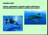 Задание №15. Назовите закономерность эволюции, которая наблюдается в сходстве формы тела и плавников у китовой акулы и касатки