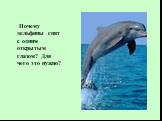 Почему дельфины спят с одним открытым глазом? Для чего это нужно?