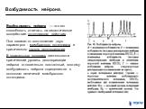 Возбудимость нейрона. Возбудимость нейрона — это его способность отвечать на синаптическое воздействие потенциалом действия. Она зависит от соотношения двух параметров - мембранного потенциала и критического уровня деполяризации. В нормальных условиях деятельности критический уровень деполяризации н
