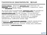 Системы нейронов, образующих восходящие пути от рецепторов или нисходящие пути к рабочим органам, расположены в определенном порядке — по типу проекции «точку в точку». Так, каждый участок воспринимающей поверхности глаза (сетчатой оболочки с фоторецепторами) передает свои сигналы определенному учас