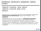 Координация деятельности центральной нервной системы. Иррадиация и концентрация нервных процессов. Торможение в центральной нервной системе. Доминанта. Для деятельности центральной нервной системы характерна определенная упорядоченность и согласованность рефлекторных реакций, т. е. их координация. В