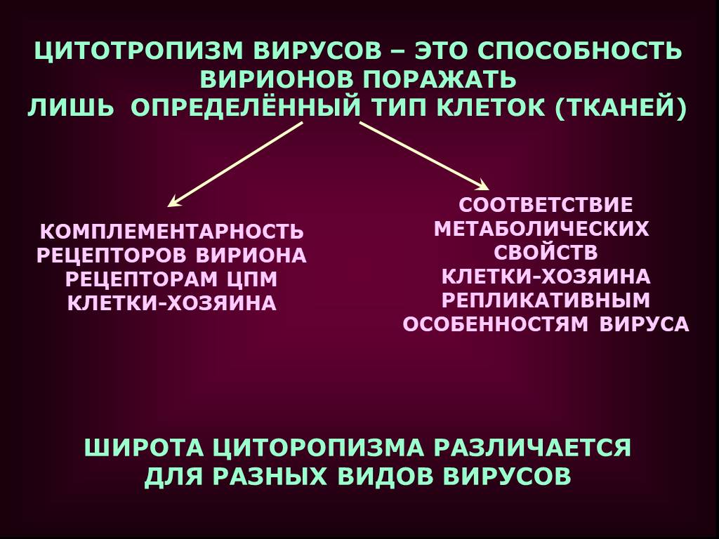 Поразить определенный. Цитотропизм вирусов это. Способности вирусов. Способность вируса избирательно поражать клетки и ткани называется. Способность вирусов поражать.