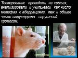 Тестирование проводили на крысах, анализировали и учитывади как число метафаз с аберрациями, так и общее число структурных нарушений хромосом. .