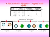 Группа Средняя Агглютиногены Агглютинины. Крови встречаемость,% (в эритроцитах) (в сыворотке, плазме). А ещё сможете определить группу своей крови…. β α. Определение групп крови. I группа II группа III группа IV группа. Муж. Жен. Донор Реципиент I (0) 21,2 31,2 - II (A) 44,4 41.2 А III (B) 16,1 17,0